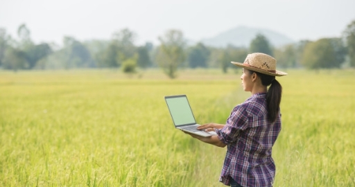 Internet Options For Rural Areas in the USA - Pros & Cons